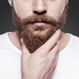 Man holding his well groomed beard.